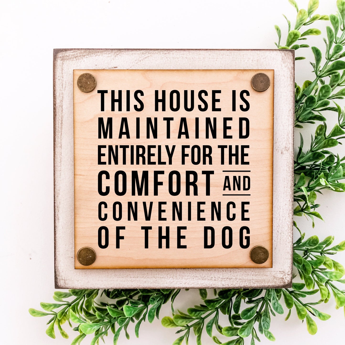 Funny Mini Tiered Tray Dog Sign