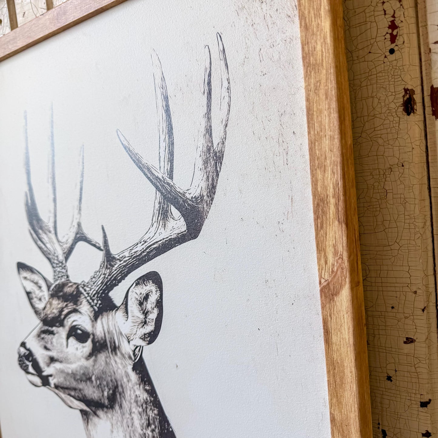 Get Buck Naked Deer Wall Art