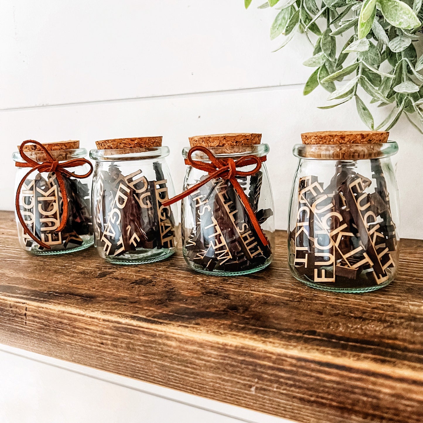 Mini Jar of F*cks / Swear Jars