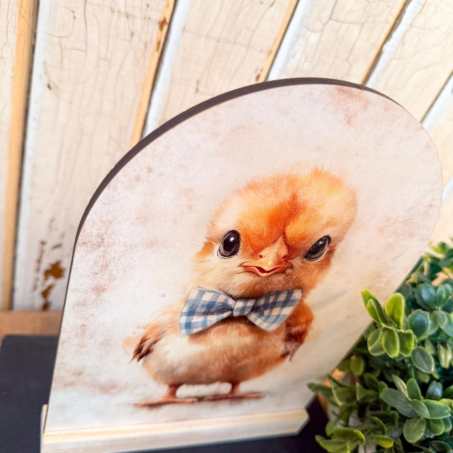 Baby Easter Chick Arched Wood Sign Shelf Sitter