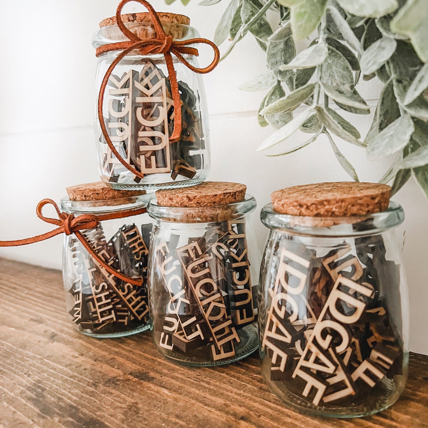 Mini Jar of F*cks / Swear Jars