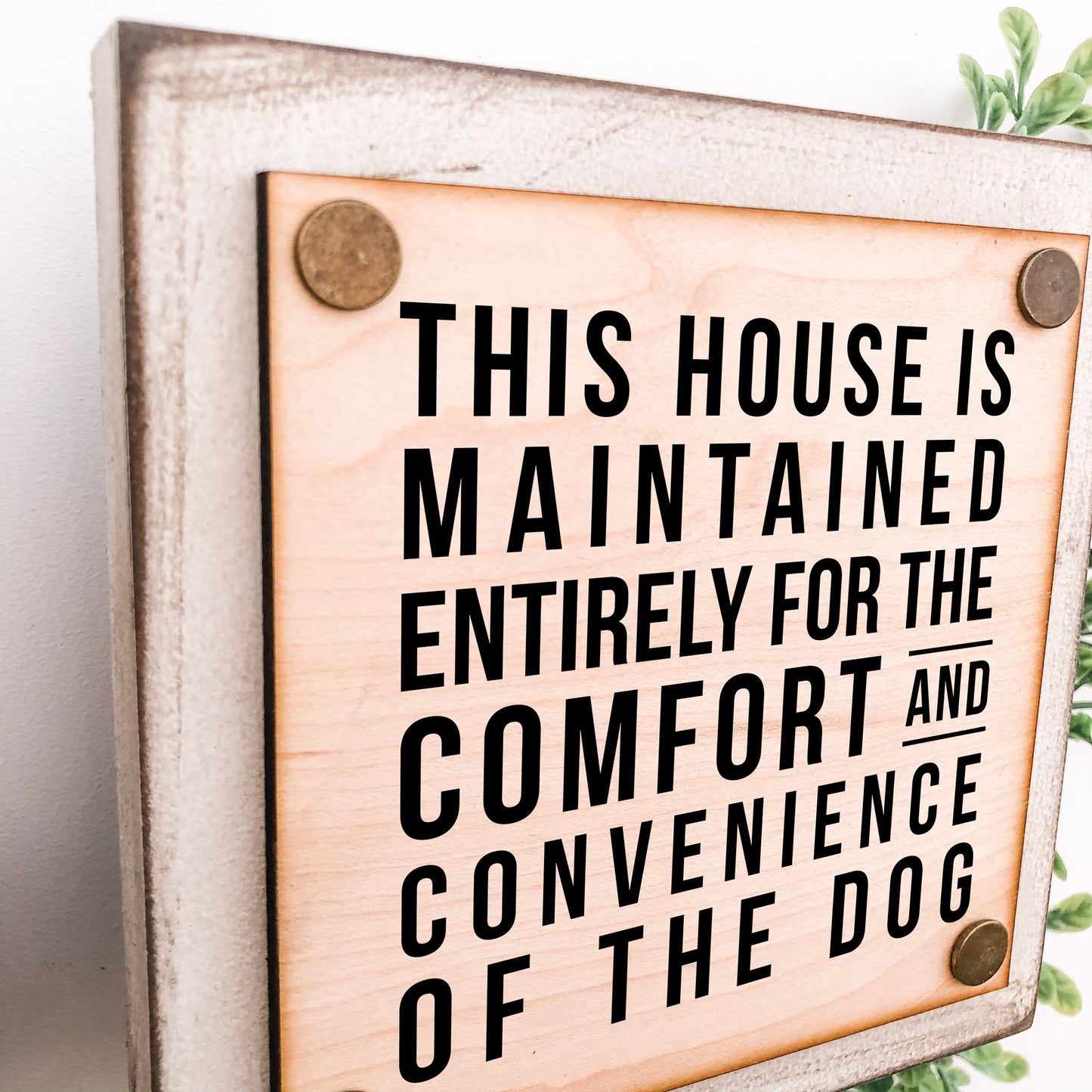 Funny Mini Tiered Tray Dog Sign