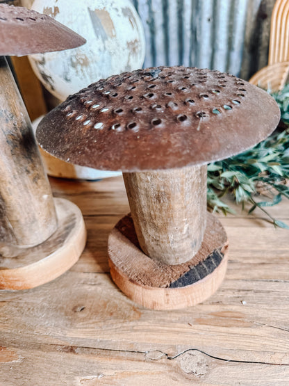 Iron Mushroom w/ Wooden Base