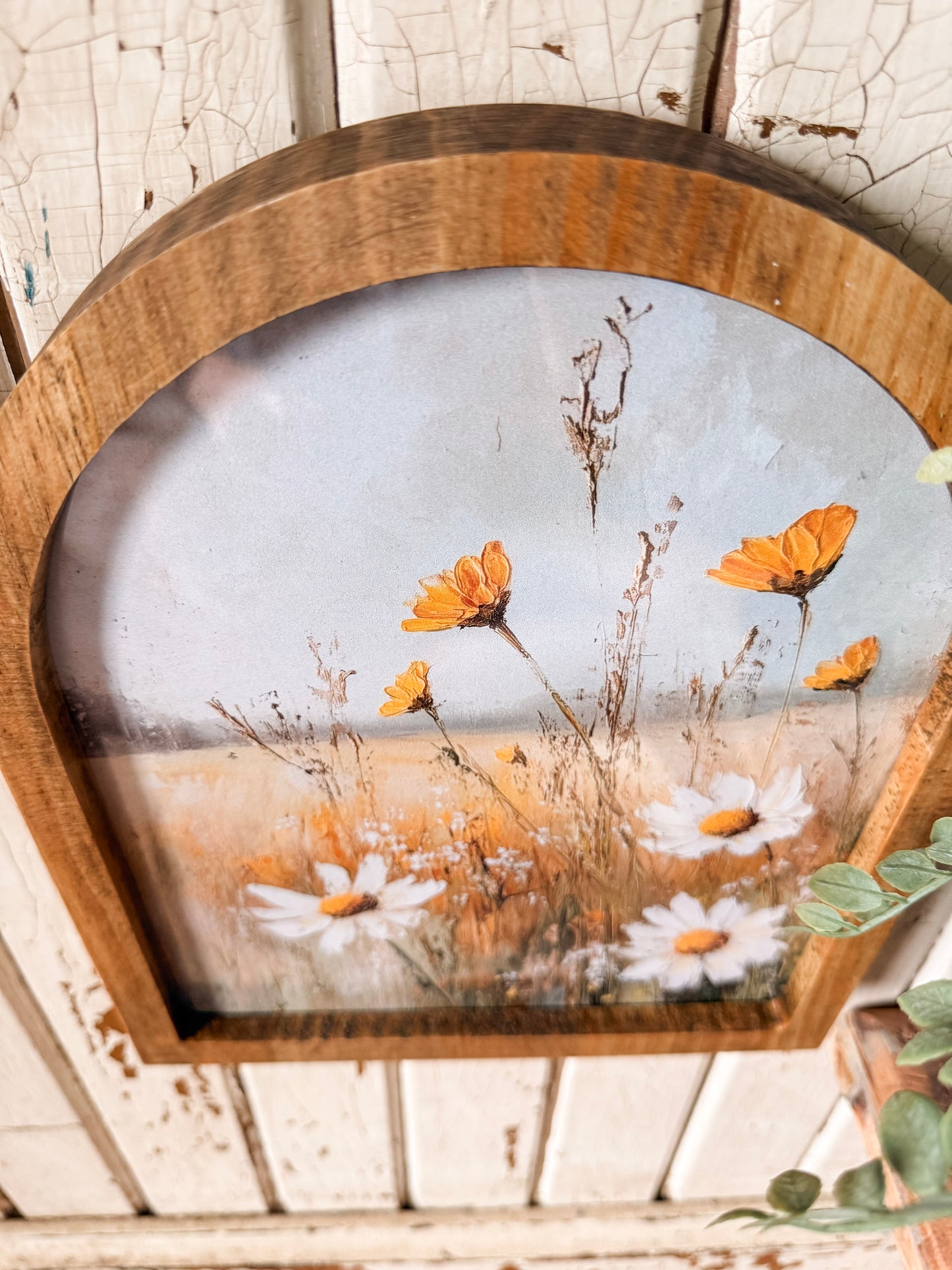 Yellow & White Flowers in Field Framed Arched Print