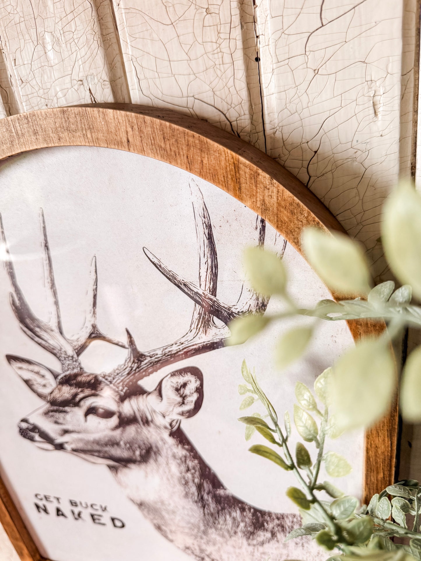 Get Buck Naked Funny Deer Framed Arched Print