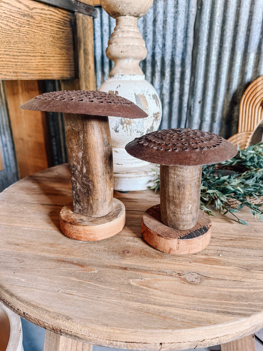 Iron Mushroom w/ Wooden Base