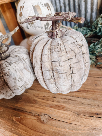 Faux White Birch Pumpkins
