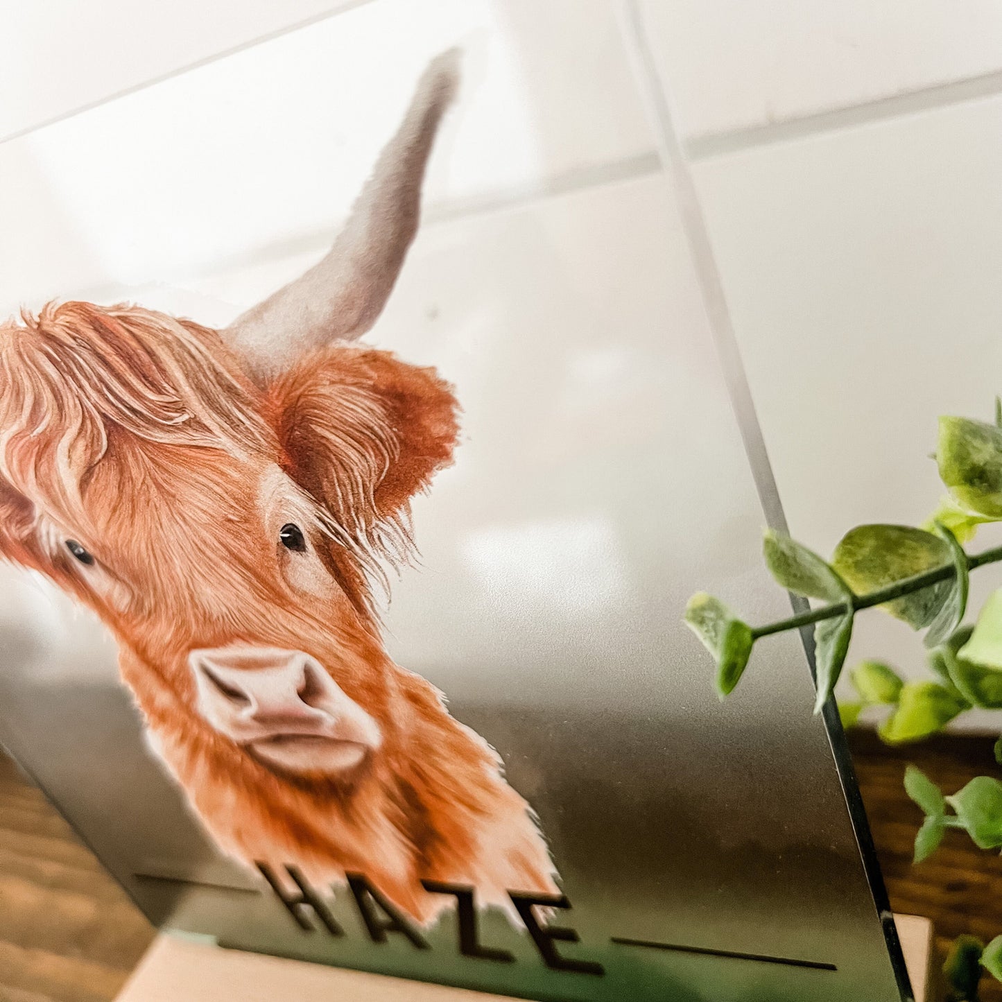 Highland Cow Nightlight