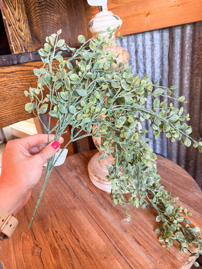 Seraph Vine Hanging Bush 34"