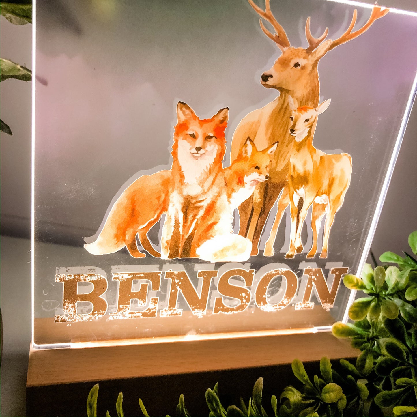 Wild Animals Nightlight