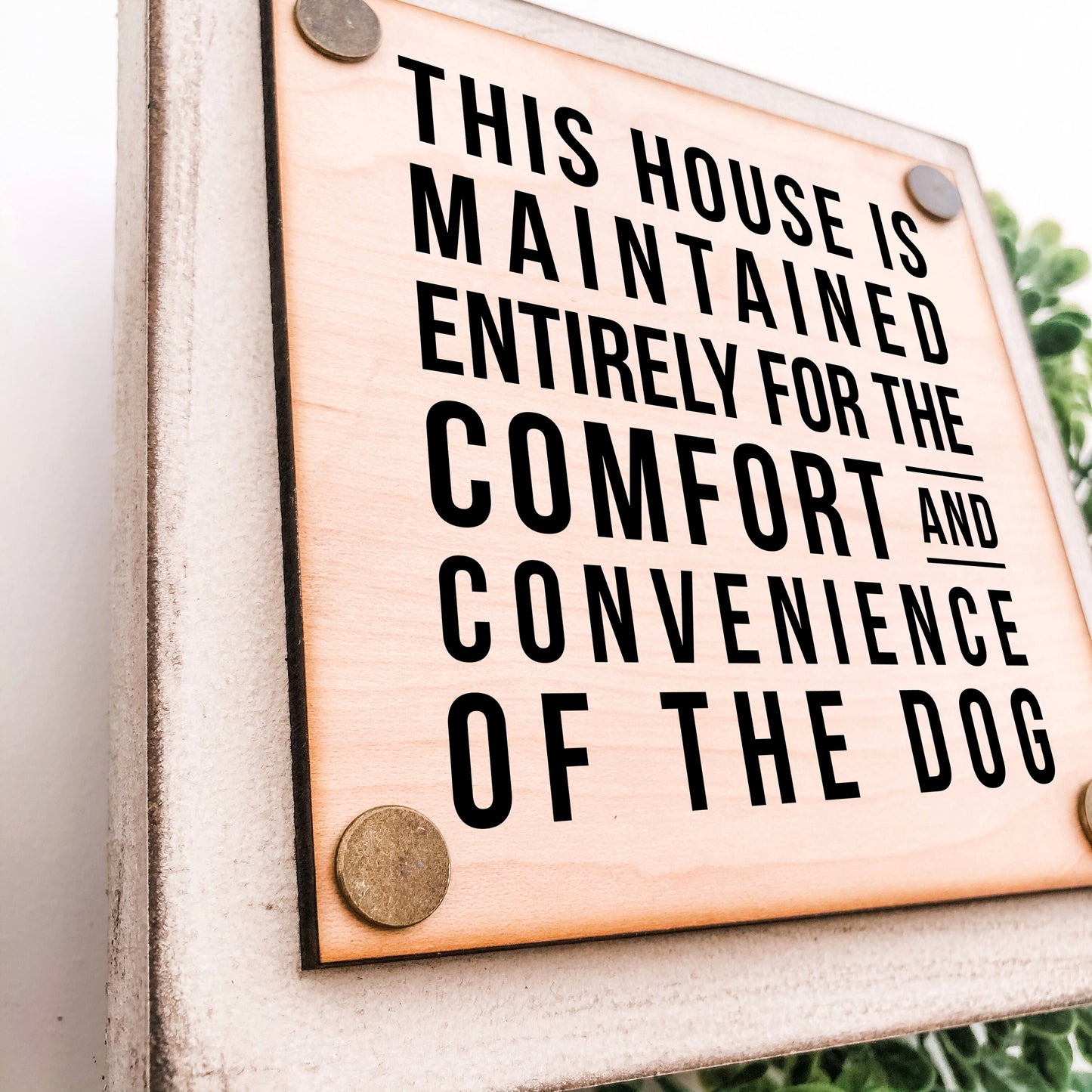 Funny Mini Tiered Tray Dog Sign