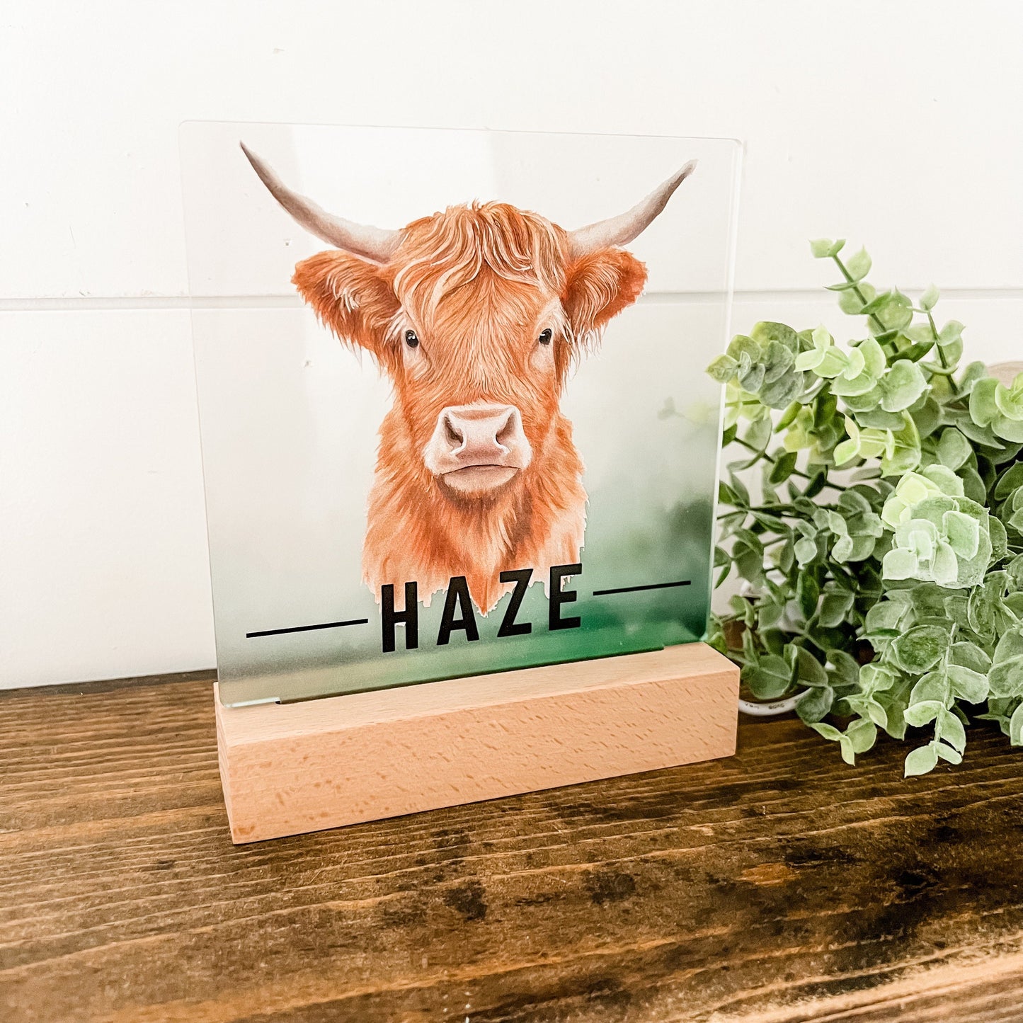 Highland Cow Nightlight