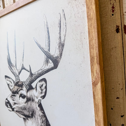 Get Buck Naked Deer Wall Art