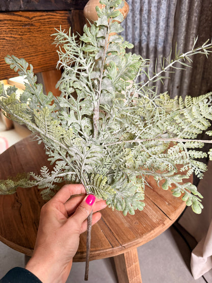 Understory Fern Bush 20"
