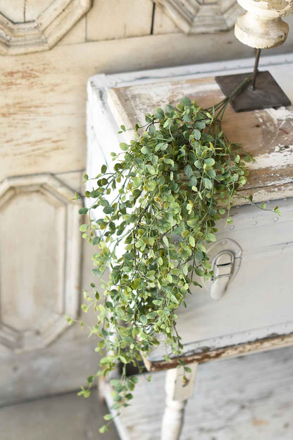 Seraph Vine Hanging Bush 34"