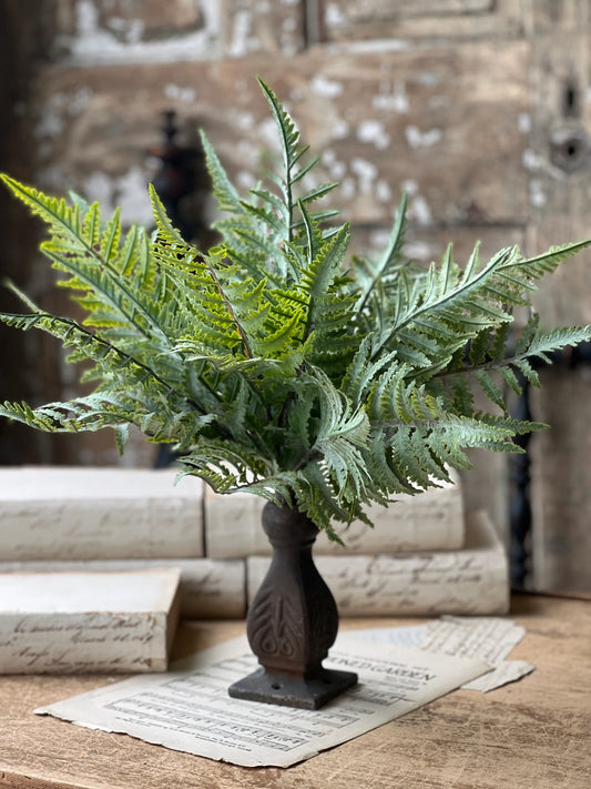 Ruffian Boston Fern Bush 16"