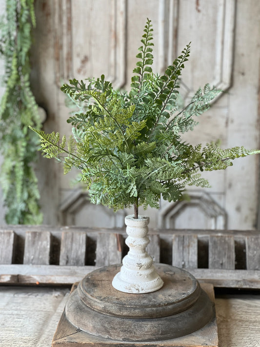 Understory Fern Bush 20"