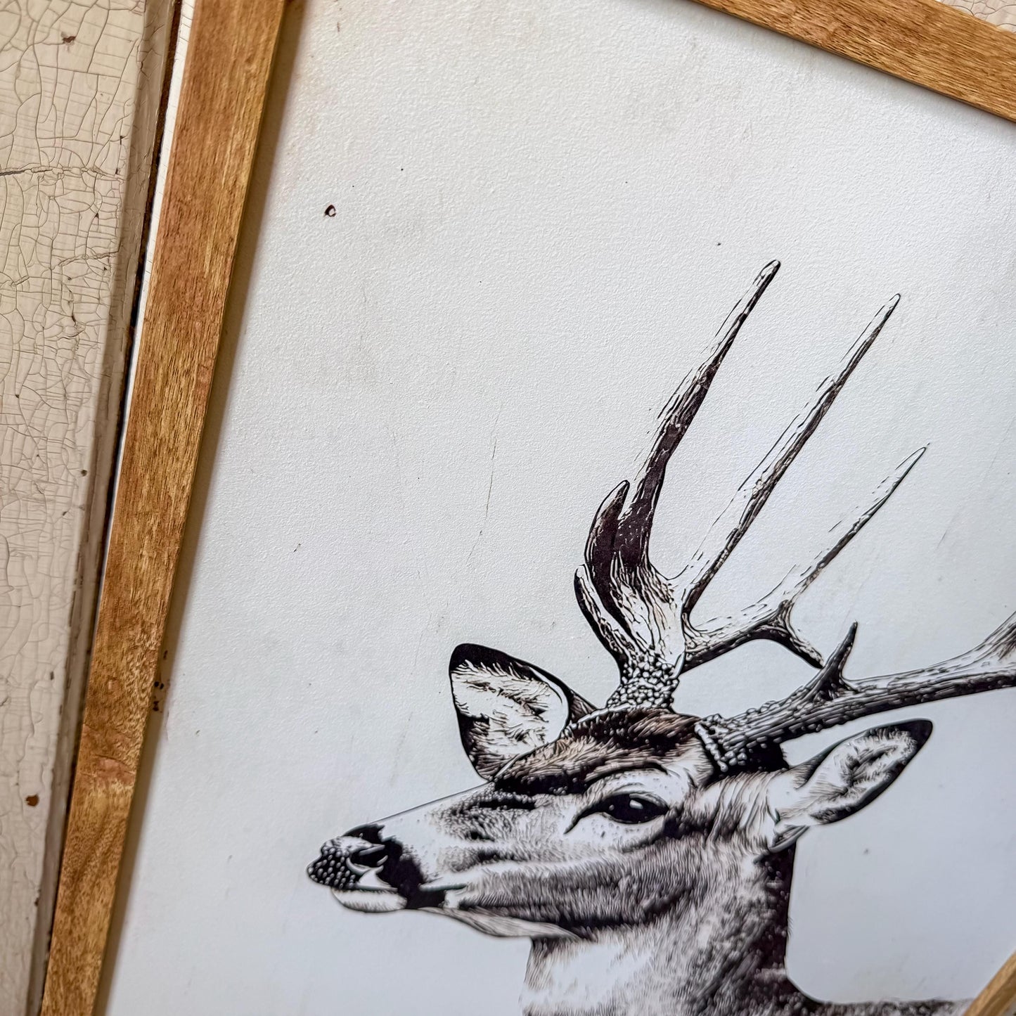 Get Buck Naked Deer Wall Art