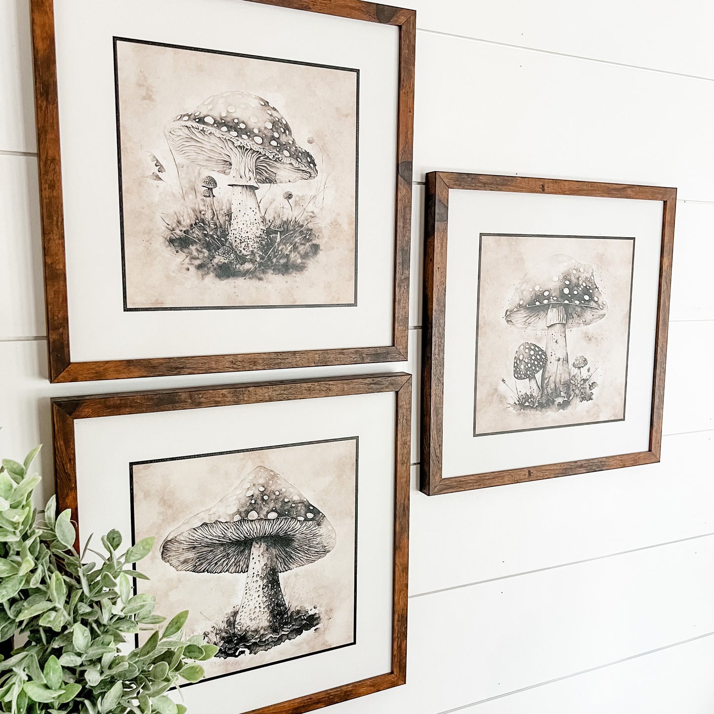 Vintage Mushroom Wall Art Wood Sign
