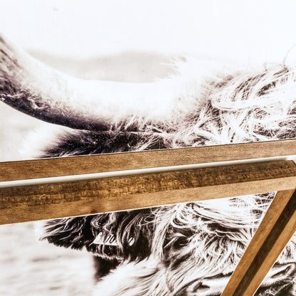 Highland Cow Multi Panel Wood Sign