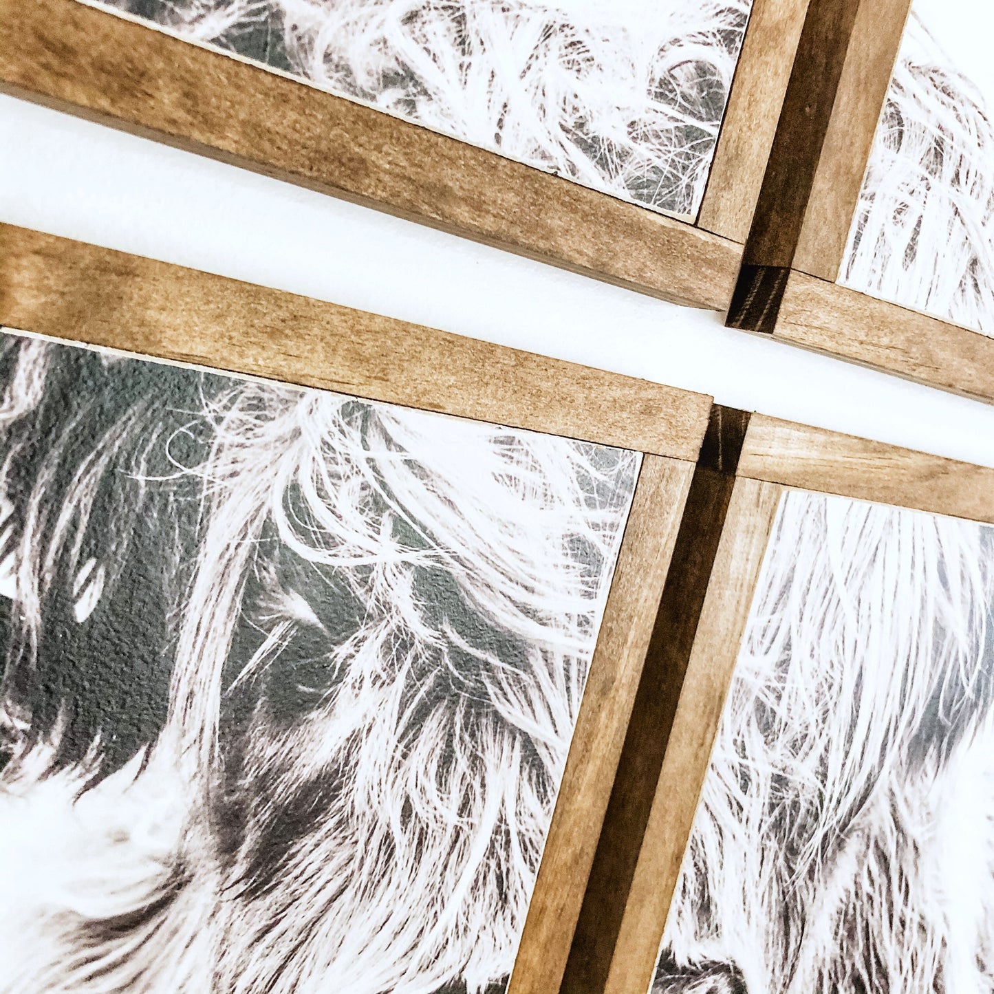 Highland Cow Multi Panel Wood Sign