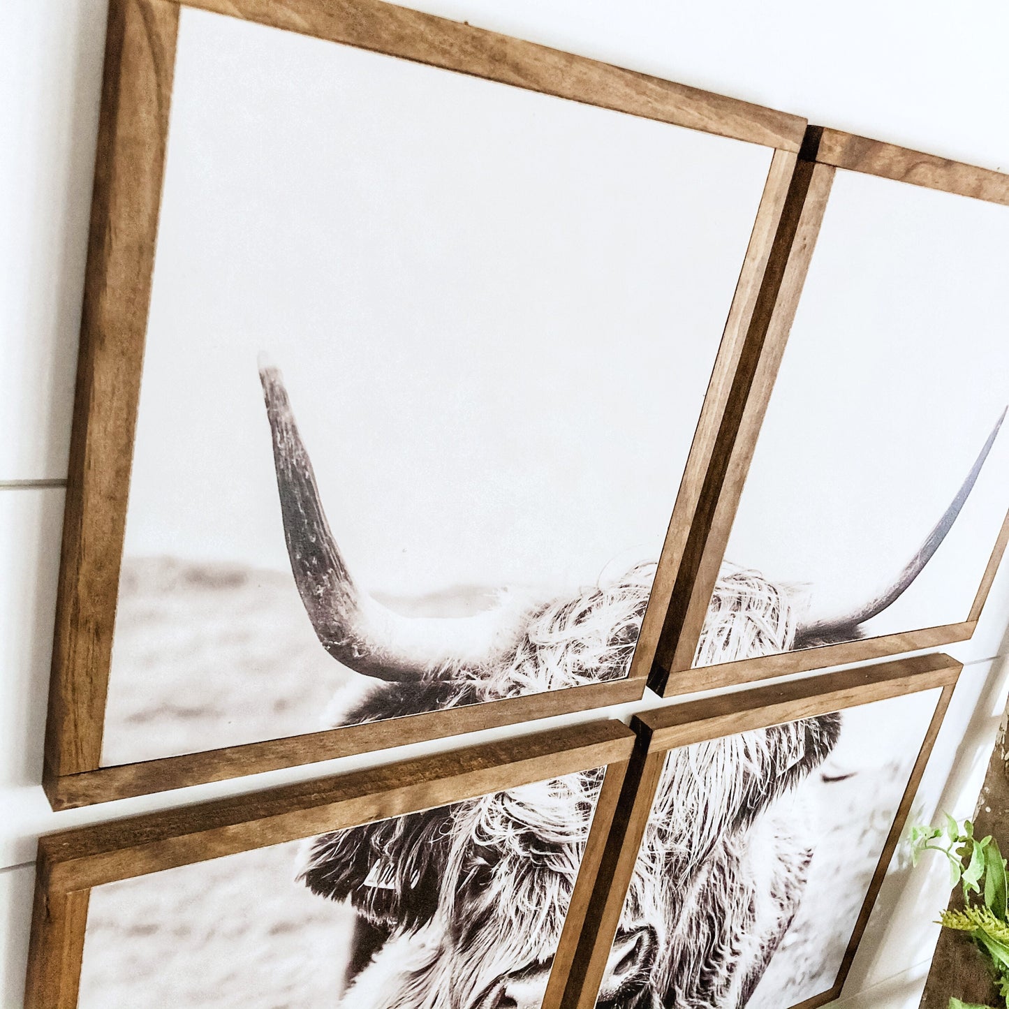 Highland Cow Multi Panel Wood Sign