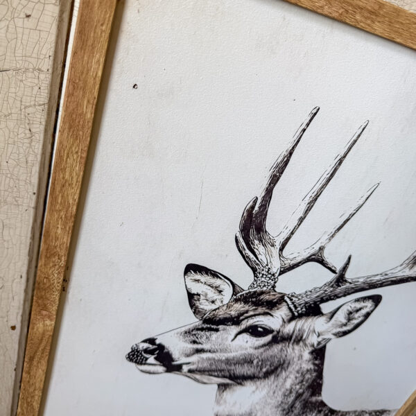 Get Buck Naked Deer Head Wood Sign - Image 3