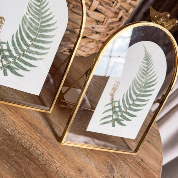 Fern Tabletop Frame 8" - Image 4