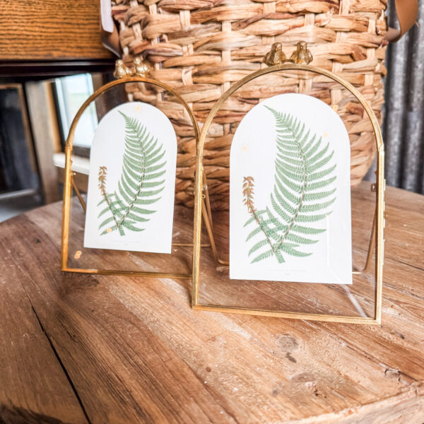 Fern Tabletop Frame 8"