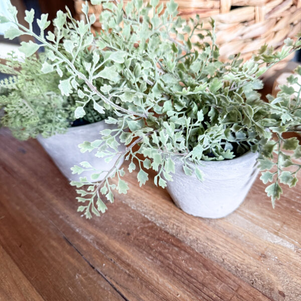 Mini Potted Fern - Image 4