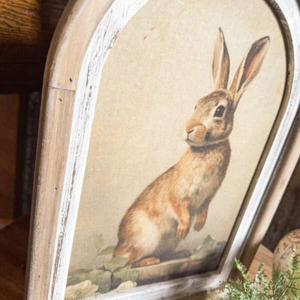 18" Arched Vintage Rabbit Frame - Image 3